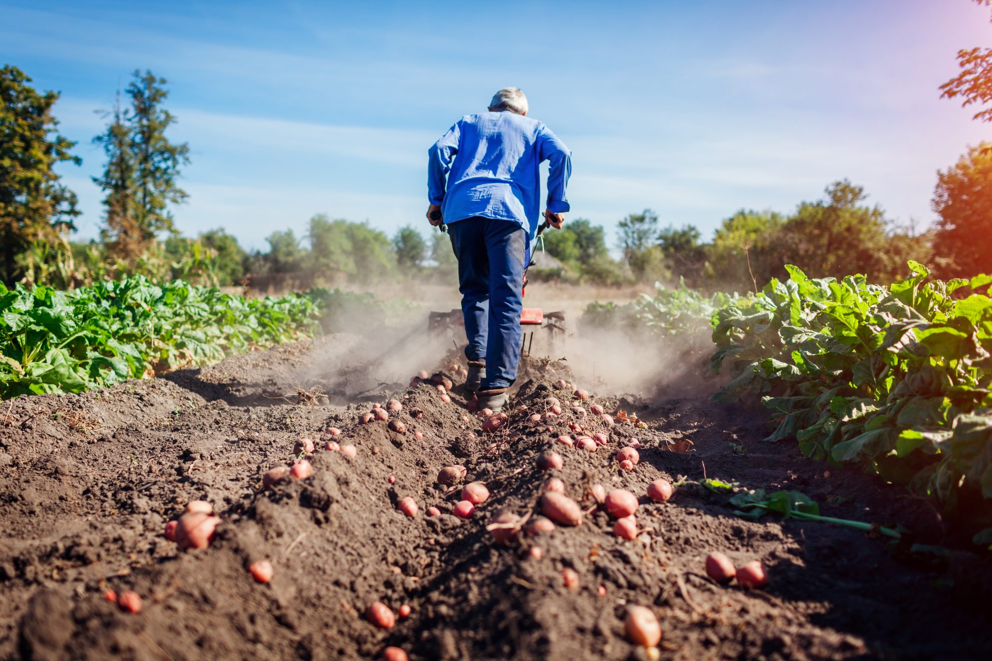 Qué es la Agrotech y cómo beneficia a los agricultores