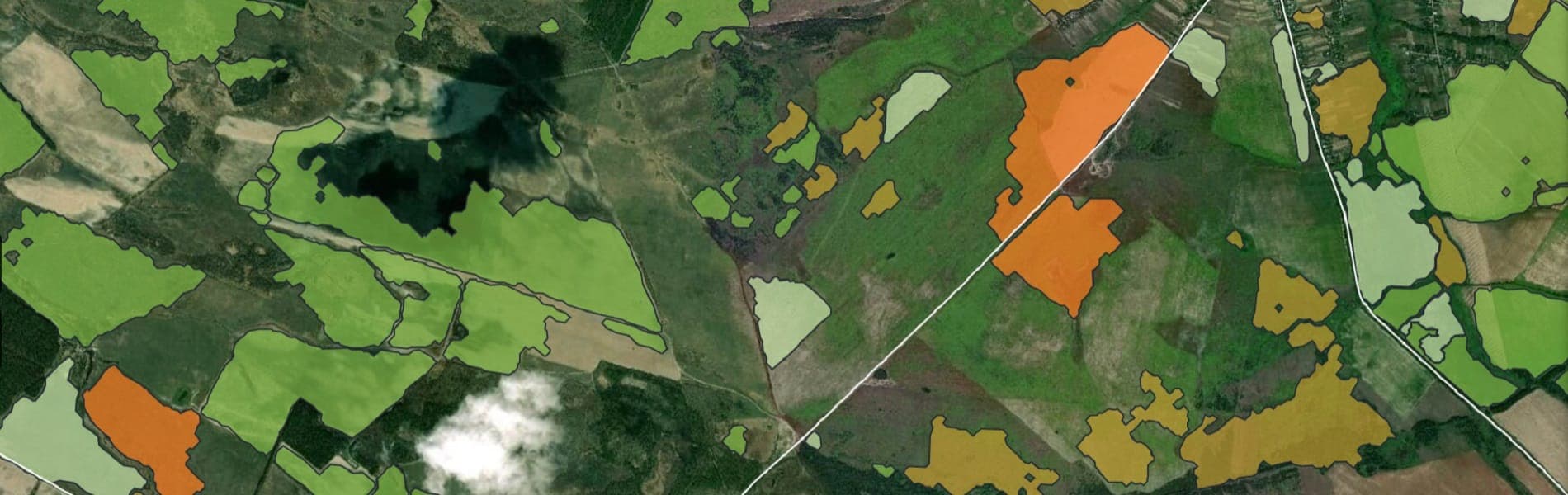 Índices de vegetación para aumentar la eficiencia de cultivos a cielo abierto