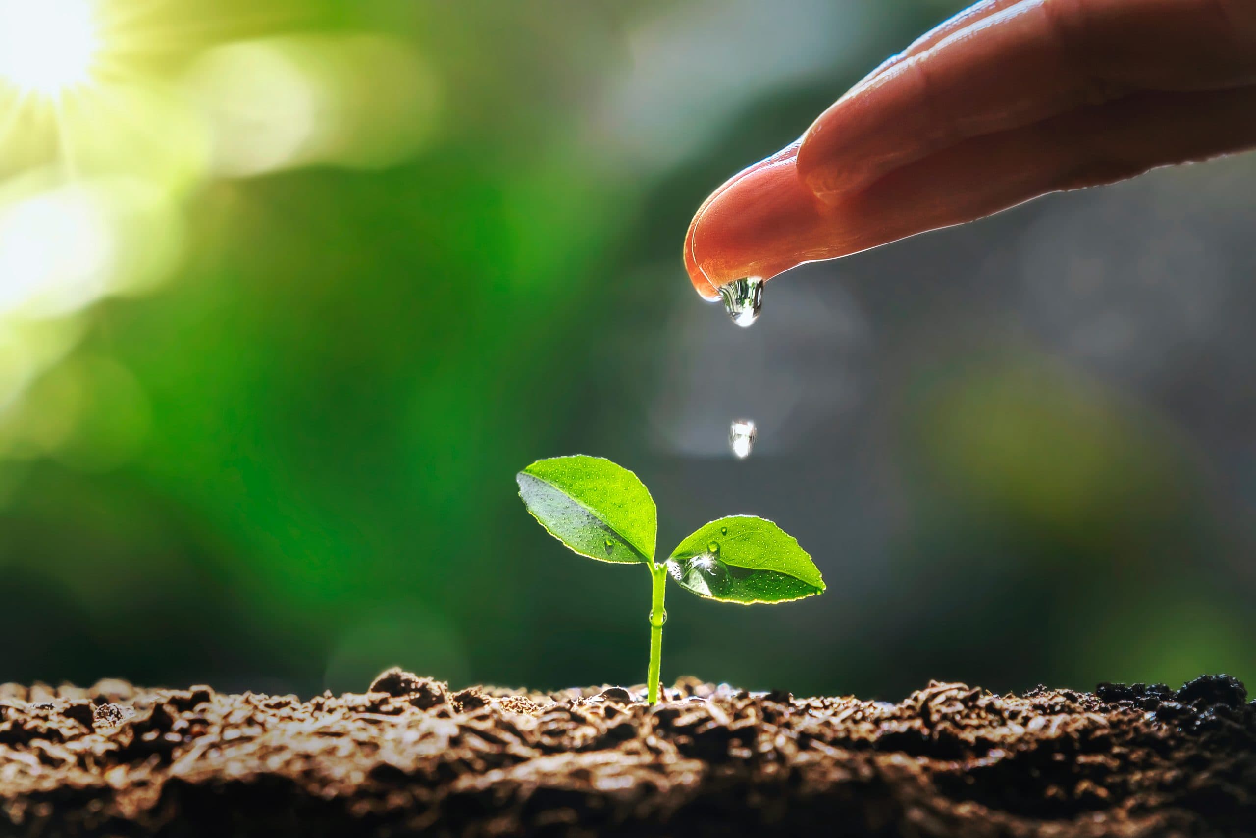 ¿Cómo medir el agua en cultivos agrícolas?