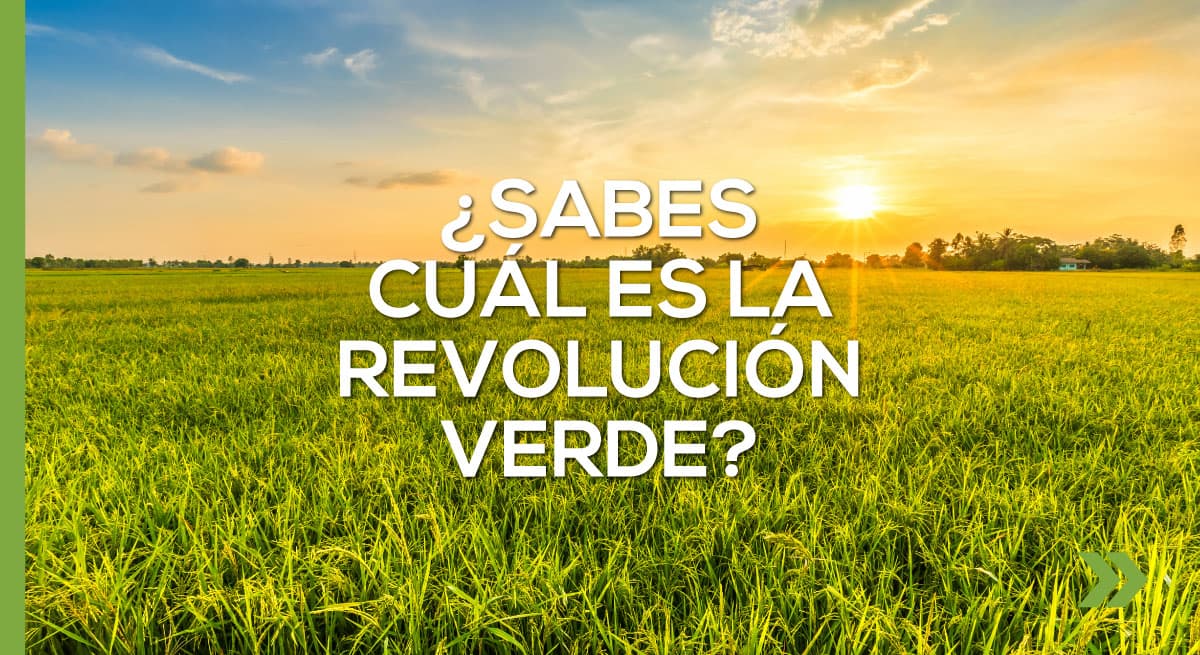 ¿Sabes cuál es la revolución verde?
