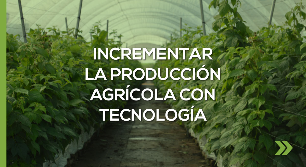 ¿Cómo incrementar la producción agrícola con tecnología?