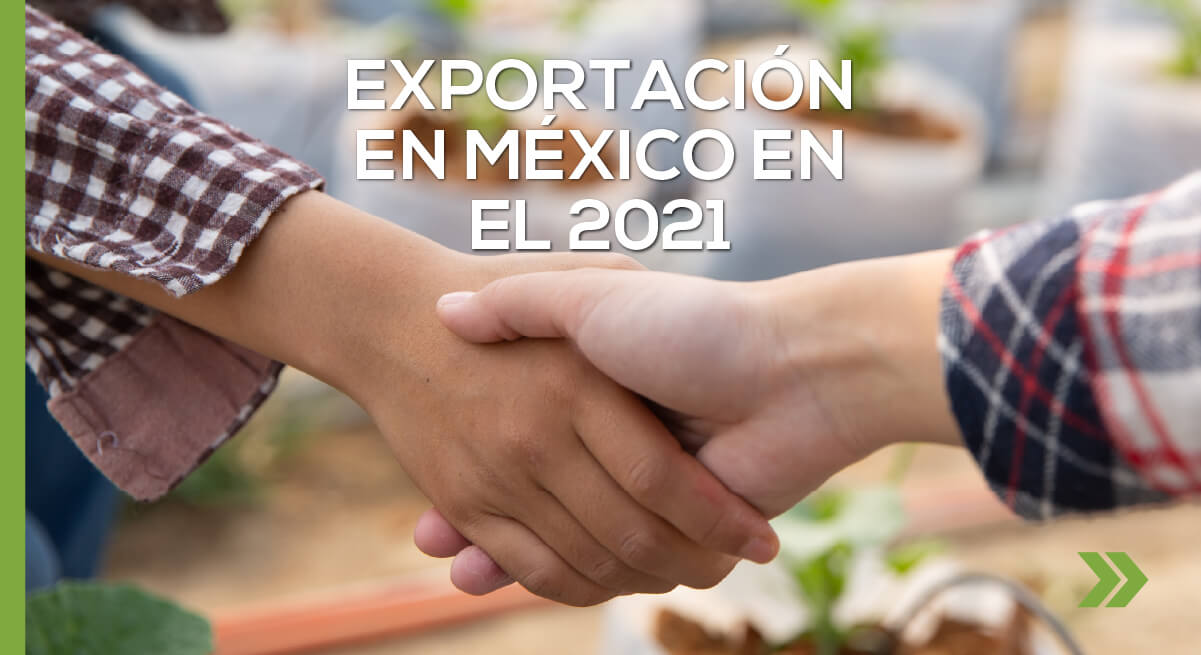 Exportación en México en el 2021