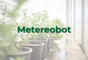 metereobot